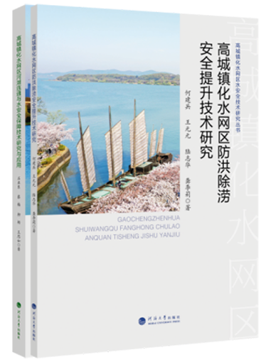 高城镇化水网区水安全技术研究丛书