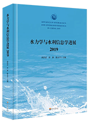 水力学与水利信息学进展（2019）