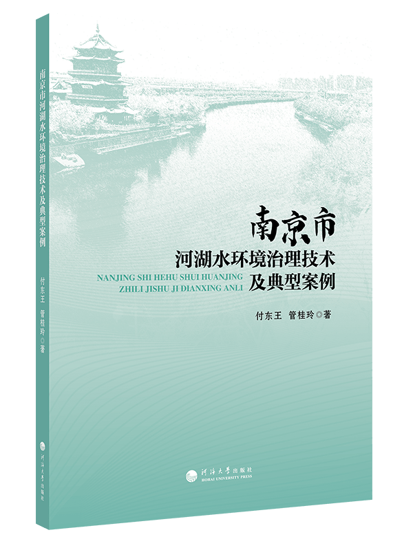 南京市河湖水环境治理技术及典型案例