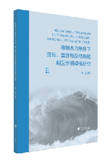 极端水力条件下流体、漂浮物及结构物相互作用模拟研究