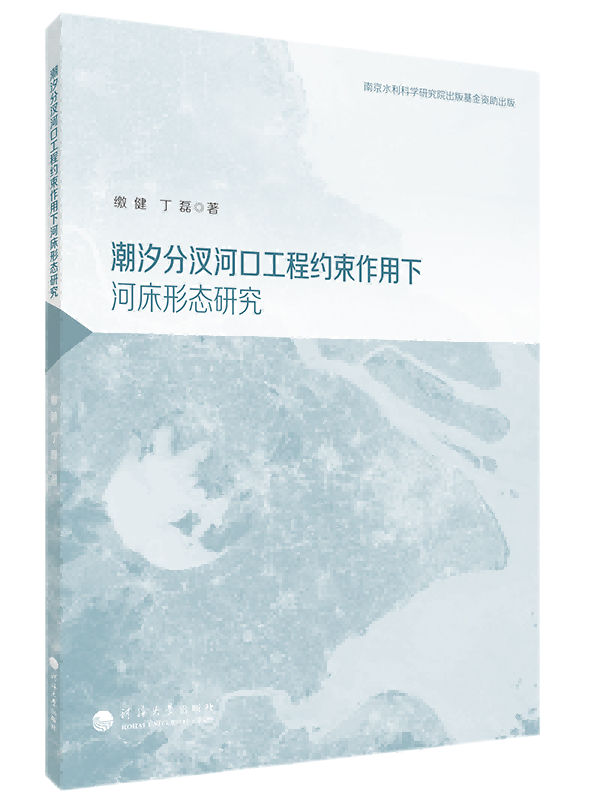 潮汐分汊河口工程约束作用下河床形态研究