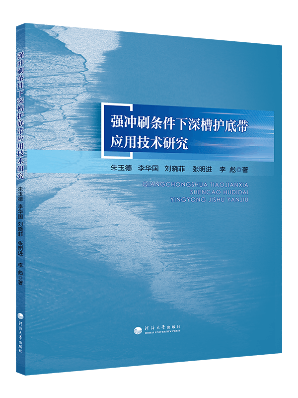 强冲刷条件下深槽护底带应用技术研究