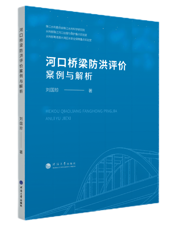 河口桥梁防洪评价案例与解析