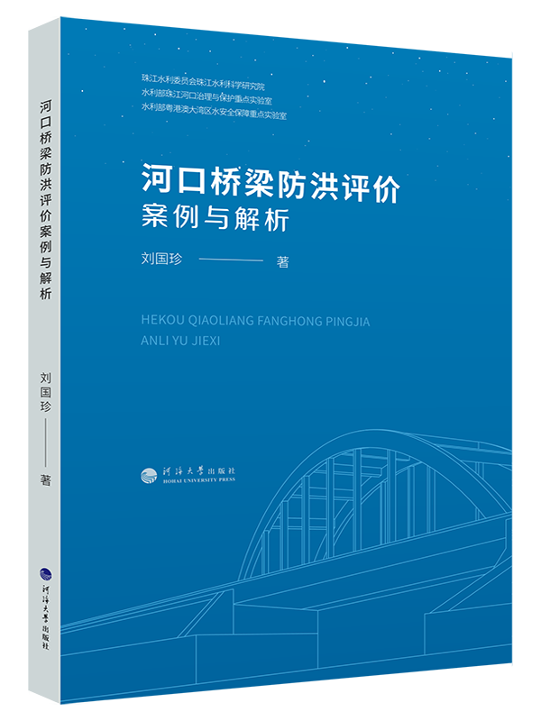 河口桥梁防洪评价案例与解析