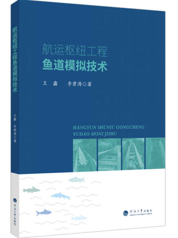航运枢纽工程鱼道模拟技术